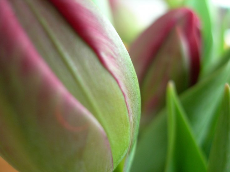 Produktebild