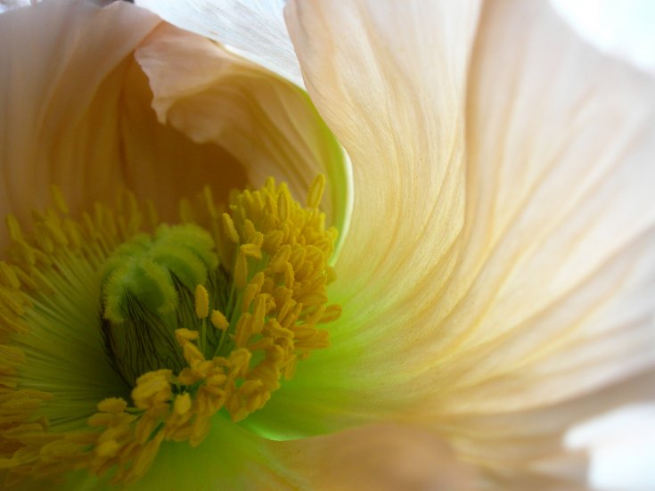 Produktebild