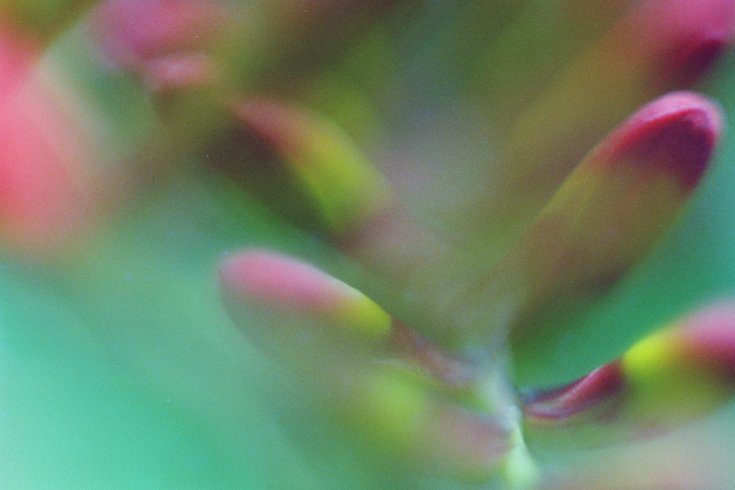 Produktebild