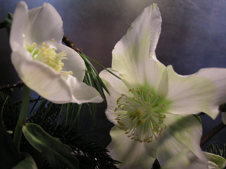 Produktebild